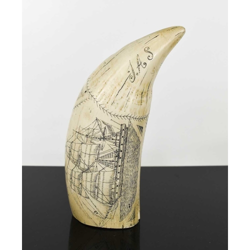 310 - A 19th century Scrimshaw style whale tooth carving, engraved The Comet and dated 1831 to one side, a... 