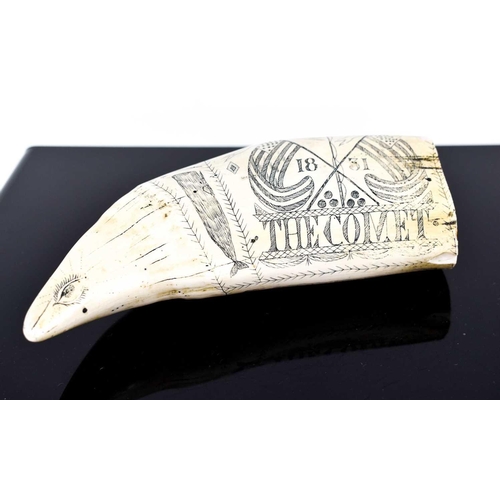 310 - A 19th century Scrimshaw style whale tooth carving, engraved The Comet and dated 1831 to one side, a... 