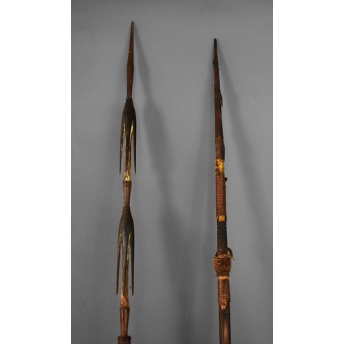 403 - A tribal hunting spear, possibly Indonesian / Papua New Guinea, the spear having two sets of barbs, ... 