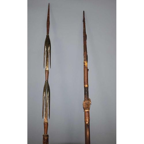 403 - A tribal hunting spear, possibly Indonesian / Papua New Guinea, the spear having two sets of barbs, ... 