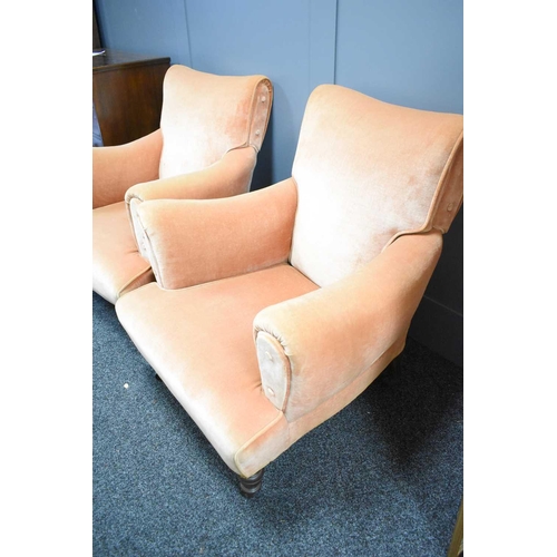 489 - A pair of Howard style armchairs, upholstered in pink velour, with square tapered oak feet raised on... 