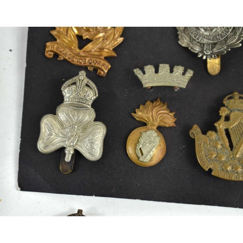 64 - A collection of military cap badges to include Royal Irish Fusiliers, Intelligence Corps, Mobile Def... 