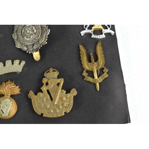 64 - A collection of military cap badges to include Royal Irish Fusiliers, Intelligence Corps, Mobile Def... 