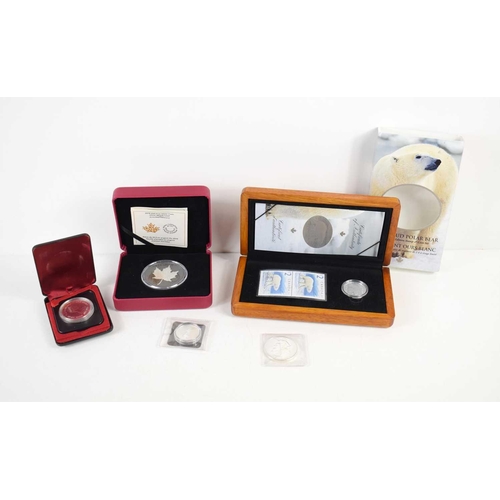 34 - A group of Canadian silver commemorative coins to include a 2004 limited edition Proud Polar Bear $2... 