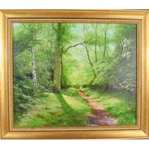 21 - John Caesar Smith (1930 - 2021): a woodland path in early summer, oil on board, signed bottom left a... 