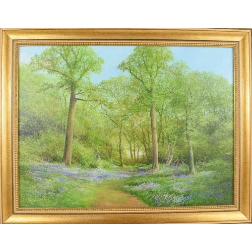 22 - John Caesar Smith (1930 - 2021): bluebell woods in spring, oil on canvas, signed and dated 07 bottom... 
