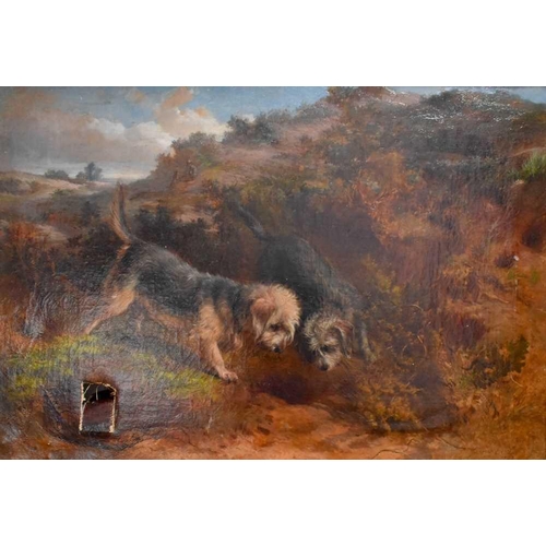36 - George Earl (British, 1824-1908): two Patterdale Terriers rabbiting, signed bottom right and dated 1... 