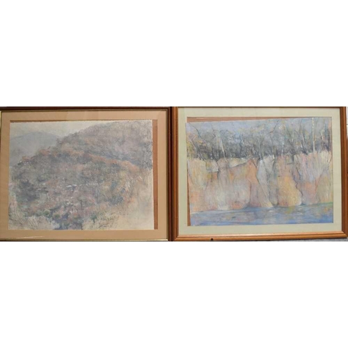 39 - Paul Battams (Australian-British, b. 1953): a pair of pastel on paper landscapes, both untitled, sig... 
