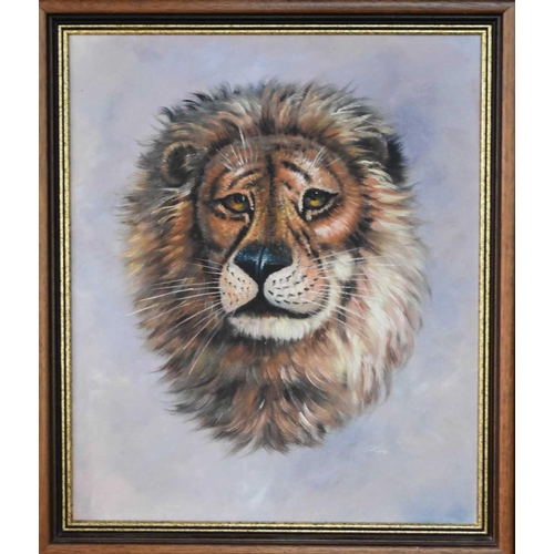 47 - Rex (20th century): study of a male lion, oil on canvas, signed lower right, 60 by 50cm, framed.