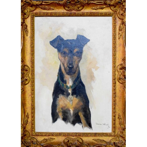 49 - A canine portrait of a Manchester terrier, oil on board, signed Vernon Ward and dated 30, bottom lef... 