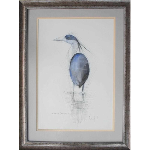 66 - Peter Dalziel (British Contemporary): 'The Red Heron (Ardea Picata), pencil and watercolour, signed ... 