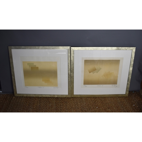 46a - Two framed and glazed limited edition prints, titled Ecto I and Endo I, signed and numbered by the a... 