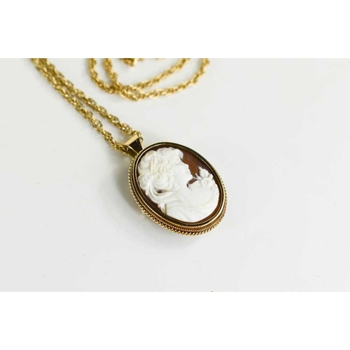 171 - A cameo pendant brooch, set in a 9ct gold oval frame, with 9ct gold chain, total weight 12.7g, chain... 