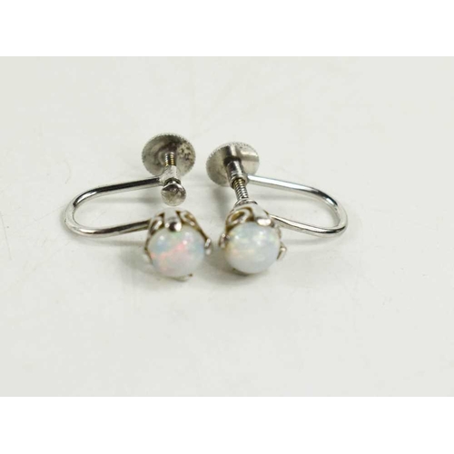 275 - A pair of 9ct white gold and opal earrings, with screw on backs, 2.14g.