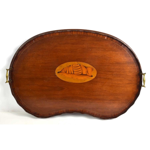 123 - A 19th century mahogany kidney shaped tray with inlaid shell motif to the centre, 71cm wide.