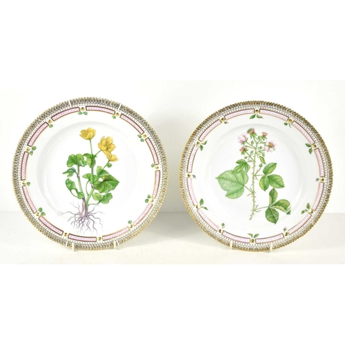 157 - A pair of Royal Copenhagen porcelain plates, hand painted with botanical studies; titled Caltha palu... 