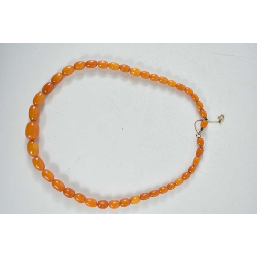 137 - A butterscotch amber bead necklace with graduated oval beads, 24.4g.