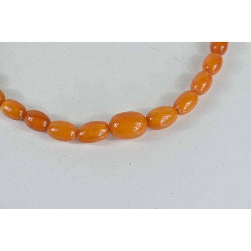 137 - A butterscotch amber bead necklace with graduated oval beads, 24.4g.