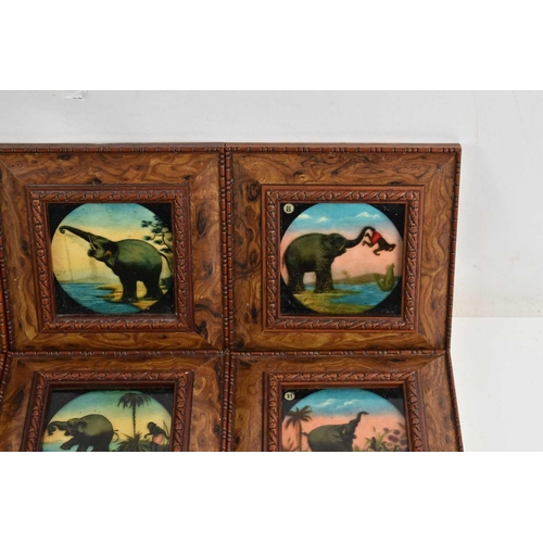 308 - A collection of framed magic lantern slides, hand coloured an depicting elephant and figures.