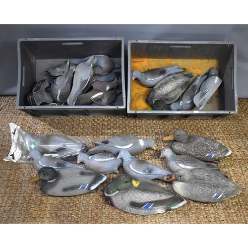 499 - A large group of plastic duck and pigeon decoys to include examples by East Anglian Shooting Product... 