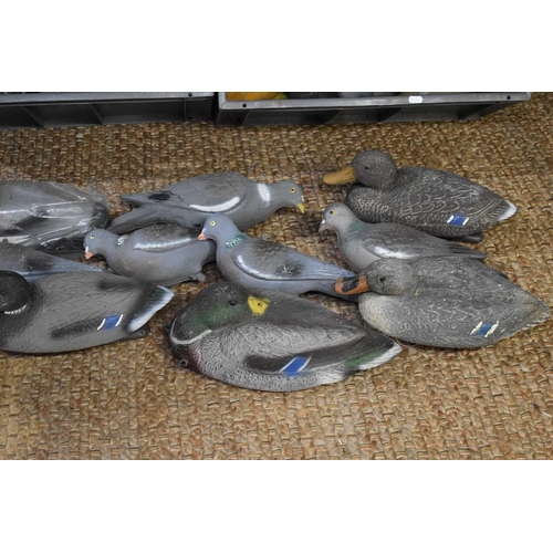 499 - A large group of plastic duck and pigeon decoys to include examples by East Anglian Shooting Product... 