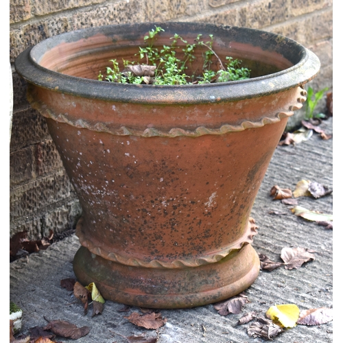 501a - A terracotta plant pot with pie crust decoration, 43cm high by 55cm wide.