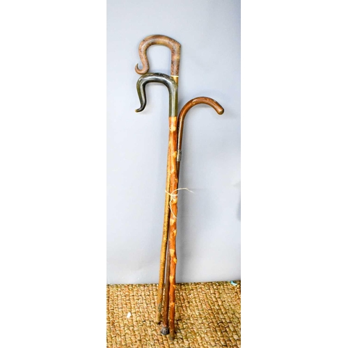 252 - Three walking canes of various style including a horn handled example.