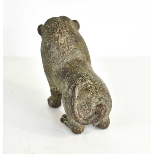 260 - An early bronze lion, with areas of green patination, incised with details to the face and fur, 8cm ... 