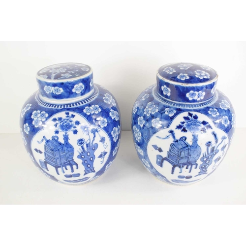 192 - A pair of Chinese blue and white ginger jars, the body decorated with prunus blossom, the central vi... 