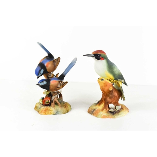 214 - Two Royal Crown Derby Bone China model birds; Fairy Wren XXXI, Woodpecker XXVII, 15cm high.