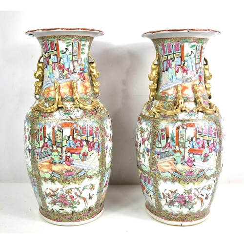 301 - A pair of 19th Century Chinese canton vases, modelled with dogs of faux to the shoulders and salaman... 