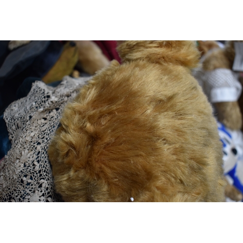 104 - A large Portobello Bear Co. Limited Edition bear, wearing blue velvet attire, Collectors Designer Be... 