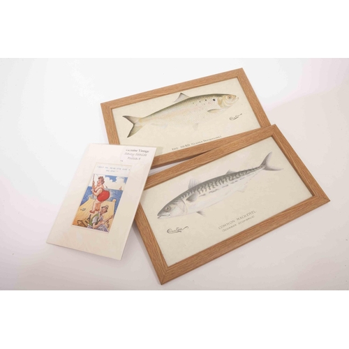 198 - A shad and mackerel print with a saucy seaside postcard