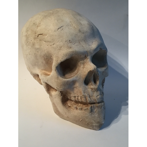 103 - Full sized Terracotta Human skull 20 x 24cms