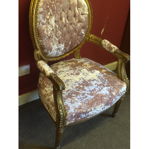 29 - Crushed pink velvet Louis French chair