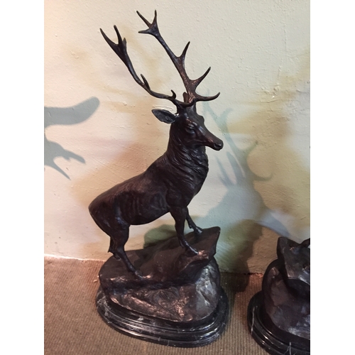 159 - Pair Of Signed Bronze Stags On Marble Bases Standing  Just Under 75 Cms.