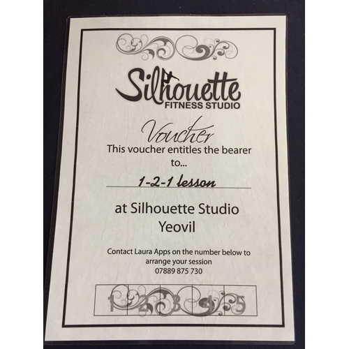 65 - 1-2-1 Lesson at Silhouette fitness studio, Yeovil for Pole dance or stretch lessons