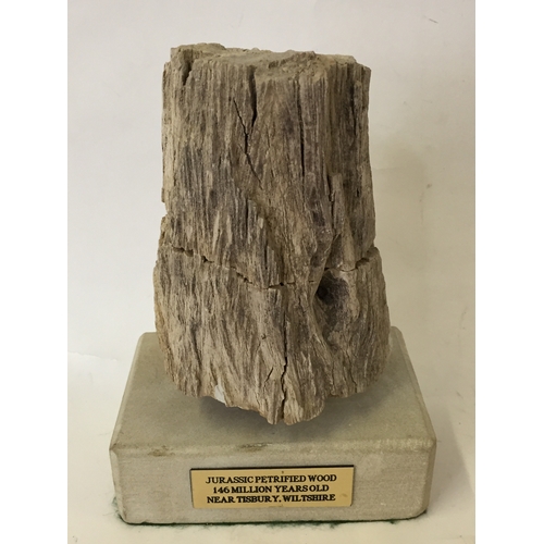 359 - Jurassic petrified wood 146 million years old from tisbury wiltshire mounted on stand 22cms overall ... 