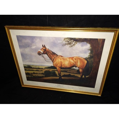 93 - Signed Print Of Red Rum By David French With A Signature TO Print Measures 58 x 45 1/2