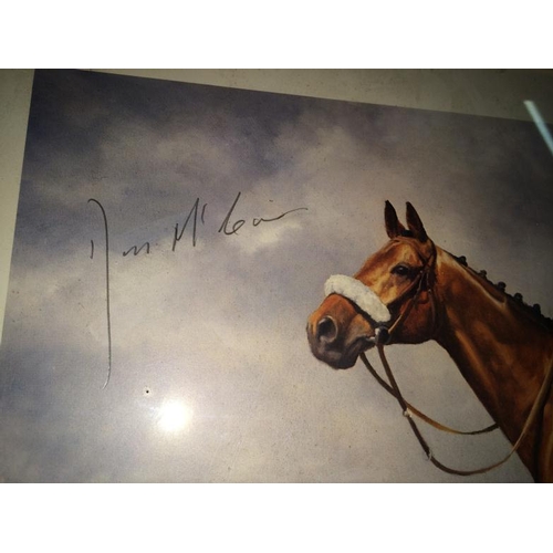 93 - Signed Print Of Red Rum By David French With A Signature TO Print Measures 58 x 45 1/2