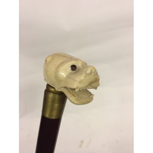 102 - Walking Stick With Carved Dogs Head Top.