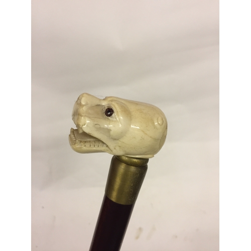 102 - Walking Stick With Carved Dogs Head Top.