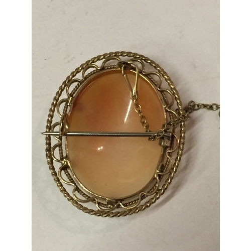 224 - Gold Framed Cameo Brooch