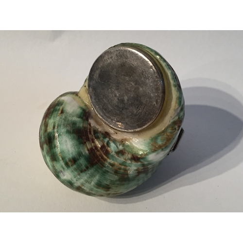 161 - Antique Snail Shell Snuff Mull With Silver Coloured Mounts.