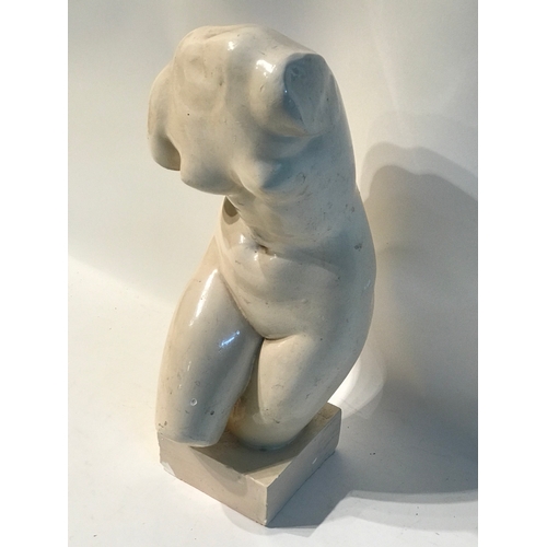 172 - Ceramic Torso