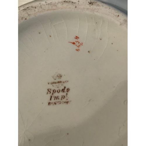 233 - Spode Wash Bowl And Jug