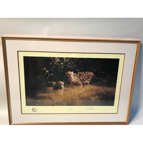 376 - Framed David Shepherd Print 'Jaguars ' Measures 78x45cm