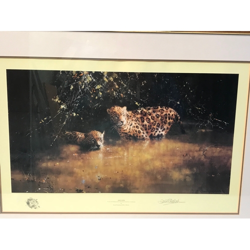 376 - Framed David Shepherd Print 'Jaguars ' Measures 78x45cm