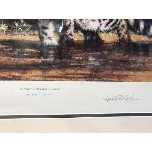 377 - Similar To Previous Lot Framed David Shepard  Print 'Clouded Leopard And Cubs' Measures 81x55cm