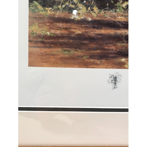 377 - Similar To Previous Lot Framed David Shepard  Print 'Clouded Leopard And Cubs' Measures 81x55cm